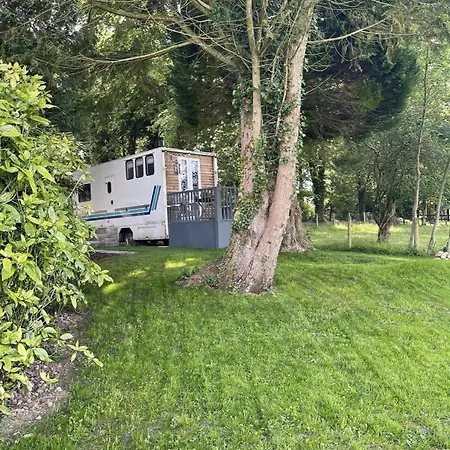 Dobbin The Horse Box In The District Holiday home