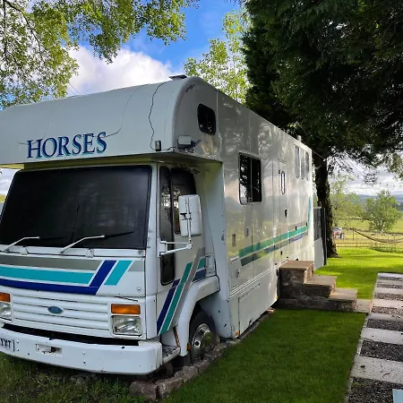 Dobbin The Horse Box In The District