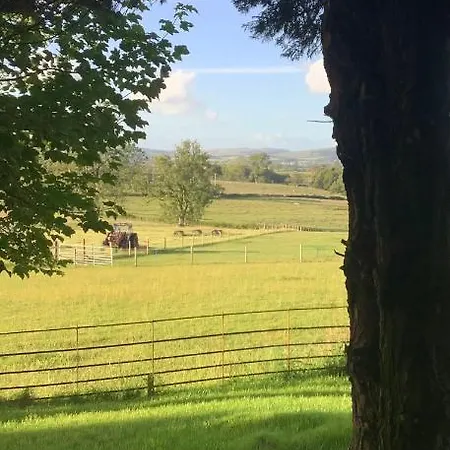 Dobbin The Horse Box In The District Holiday home *