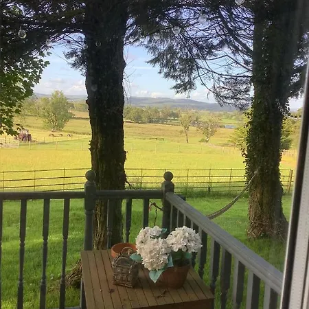 Dobbin The Horse Box In The District 科克茅斯